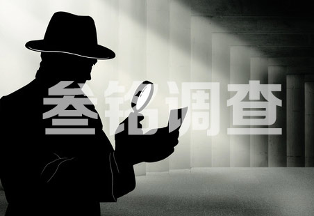 厦门商务调查